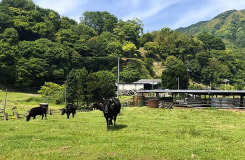 さいとう牧場株式会社